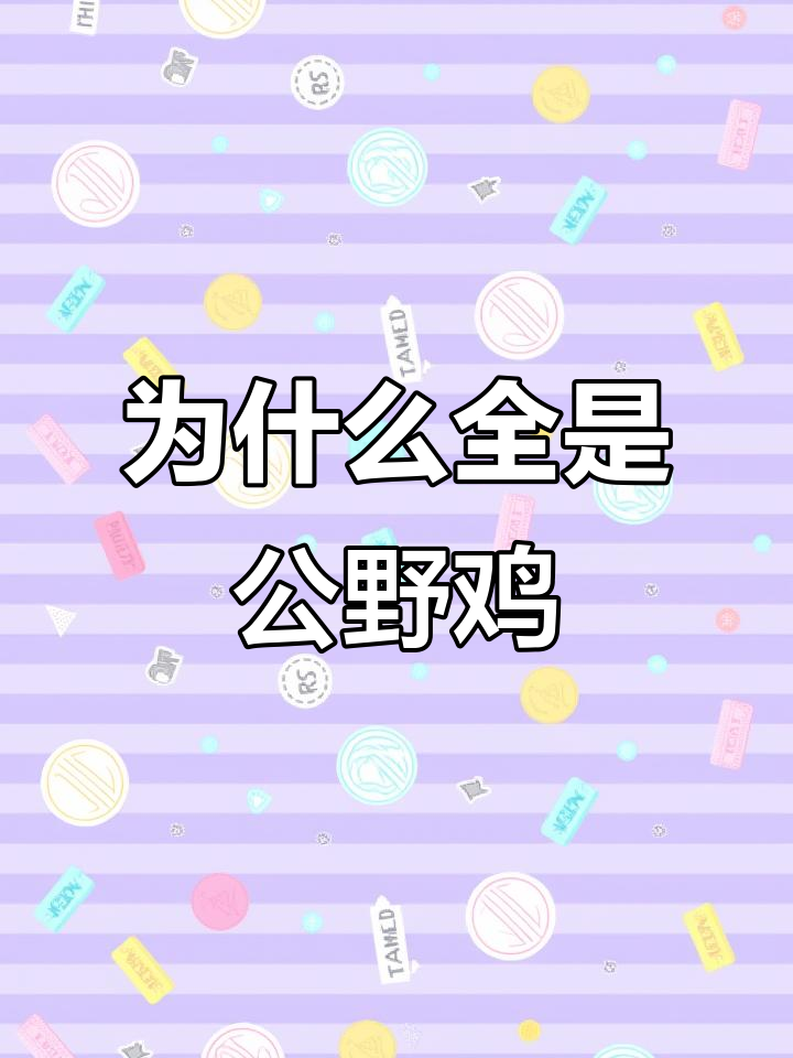 野山鸡为何成群结队?公母分居的秘密揭晓