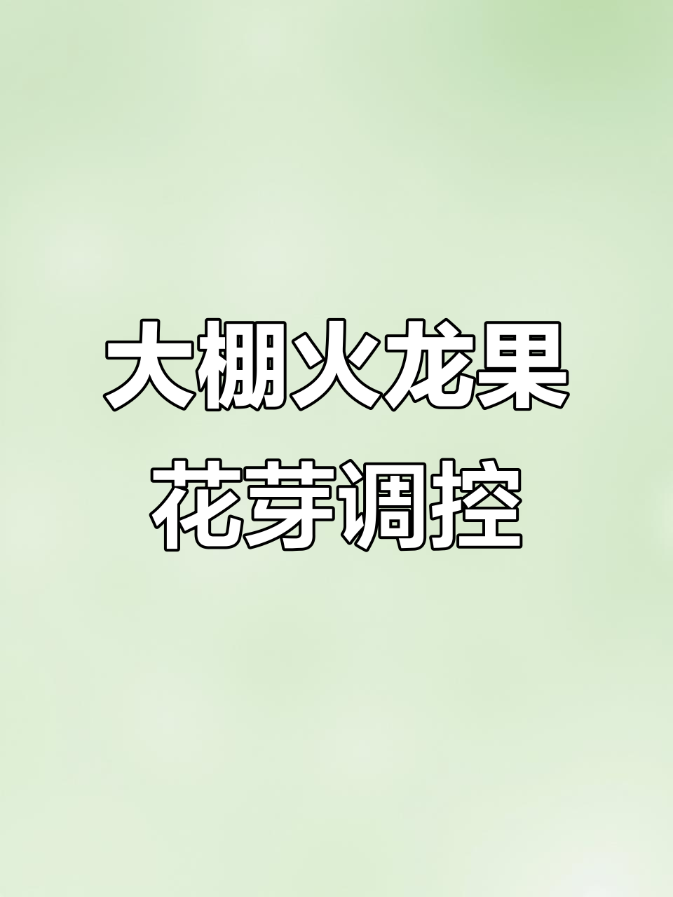 火龙果大棚种植技术:如何调节花芽分化,提高产量