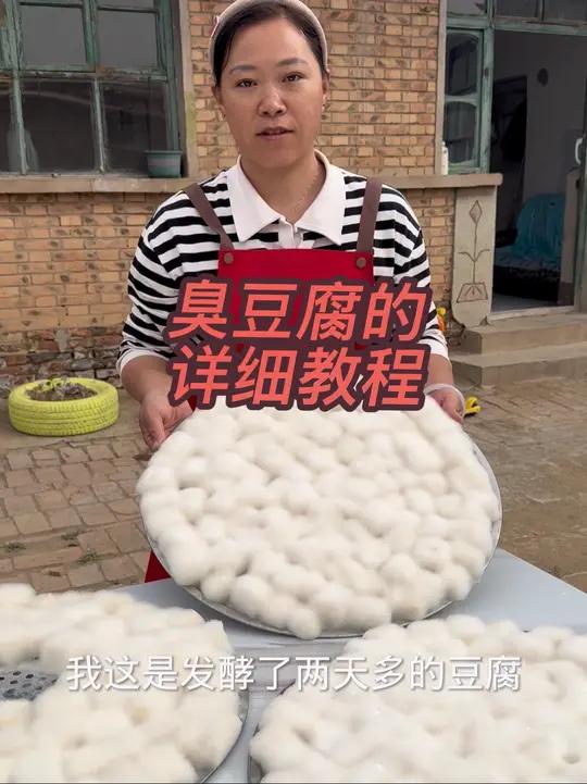 臭豆腐的详细教程