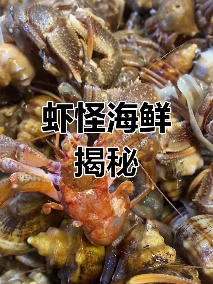 虾怪海鲜,长得像虾又像蟹,海螺壳里藏身