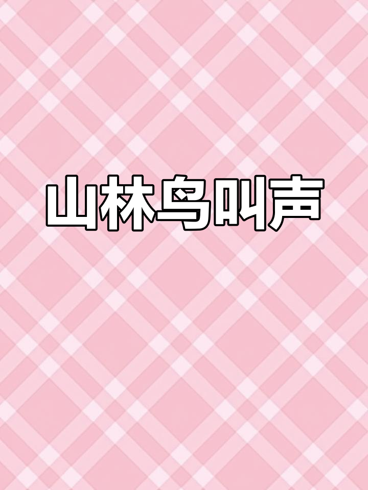 竹鸡母鸟引山鸣叫