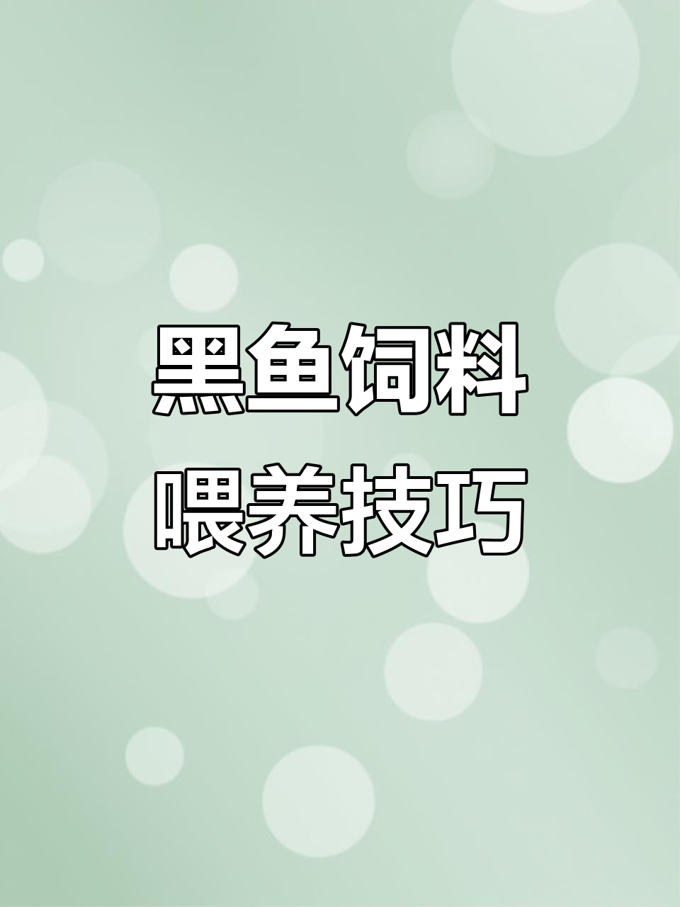 黑鱼养殖饲料全攻略:从前期到后期喂食技巧