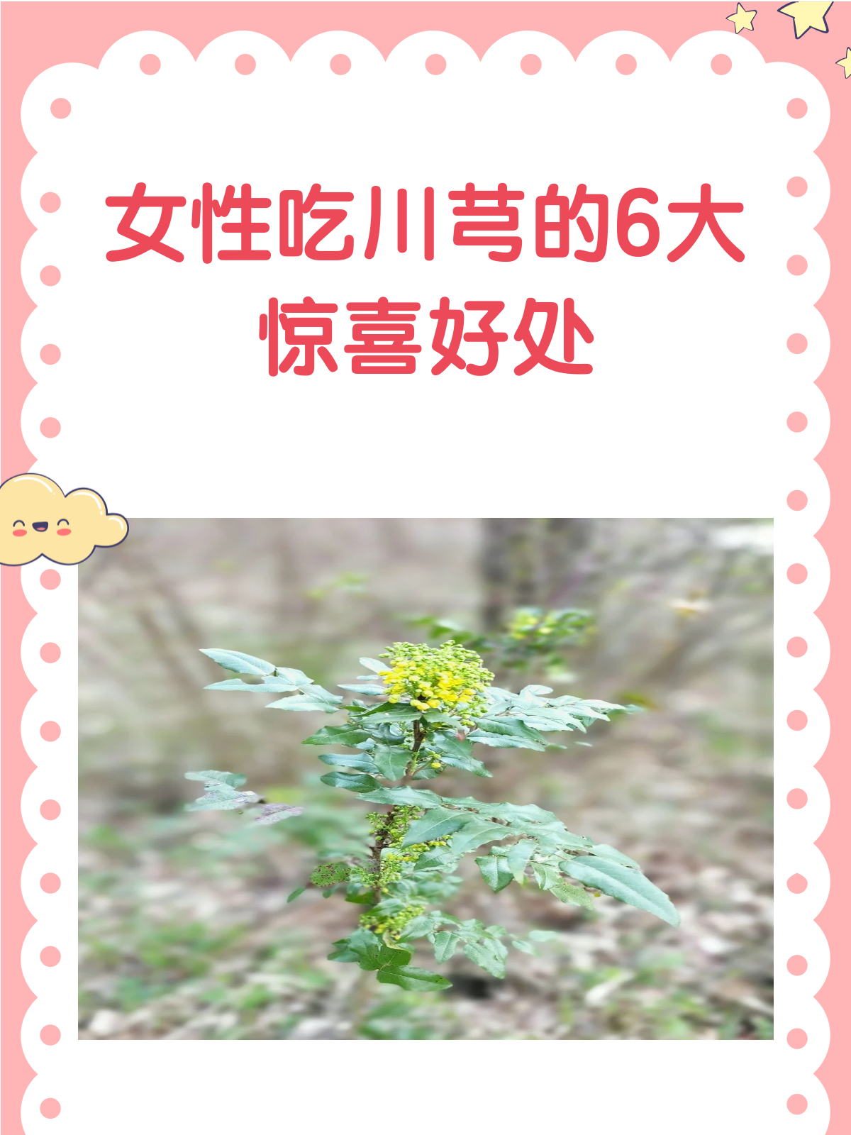 揭秘!女人吃川芎,竟有这6大惊喜变化