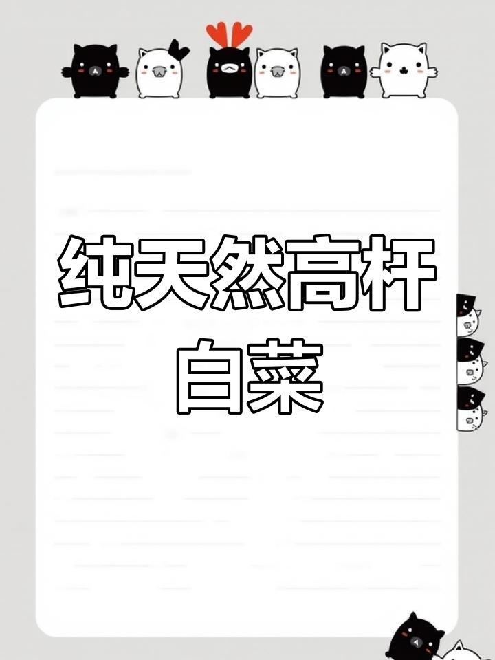 高杆白菜脆嫩爽口,口感超乎想象