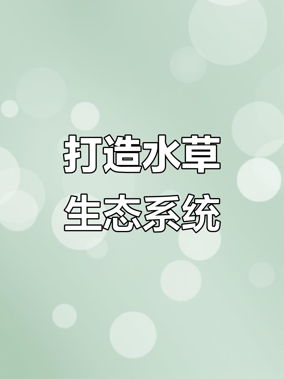 水草缸造景全攻略：从火山石到小鱼小虾的生态之旅