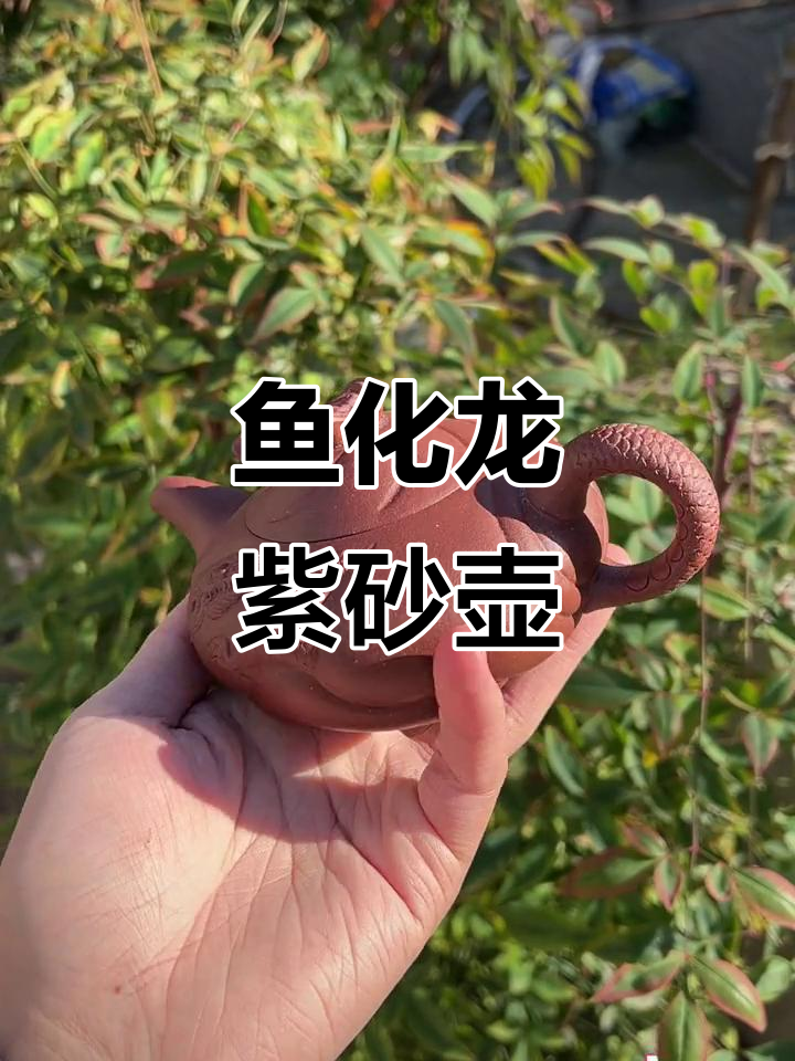 半手工紫砂壶,260ml容量,鱼化龙造型,细节满满