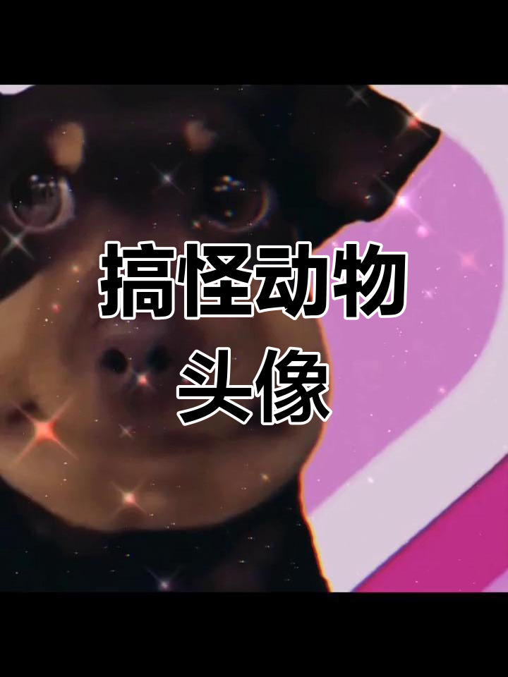 可爱沙雕动物情侣头像