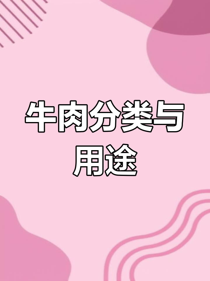 牛肉各部位最佳做法大揭秘,如何挑选最适合的烹饪方式