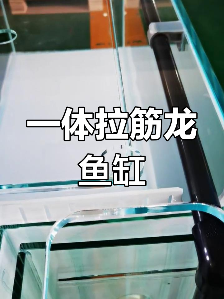 精致龙鱼缸盖,一体拉筋设计更稳固