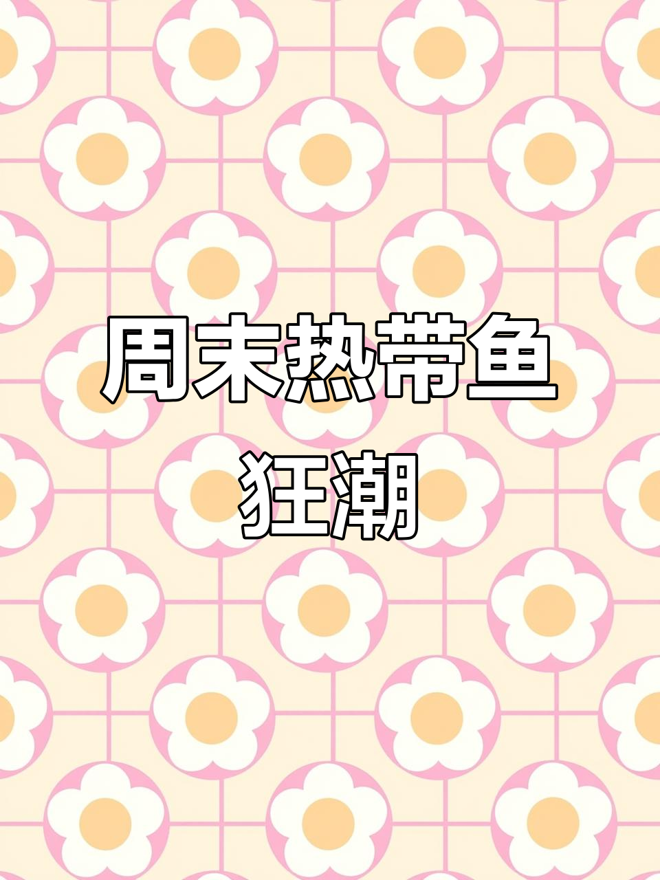 疯狂星期六,热带鱼大赏!黑鱼、黄金玻璃等超萌品种来袭