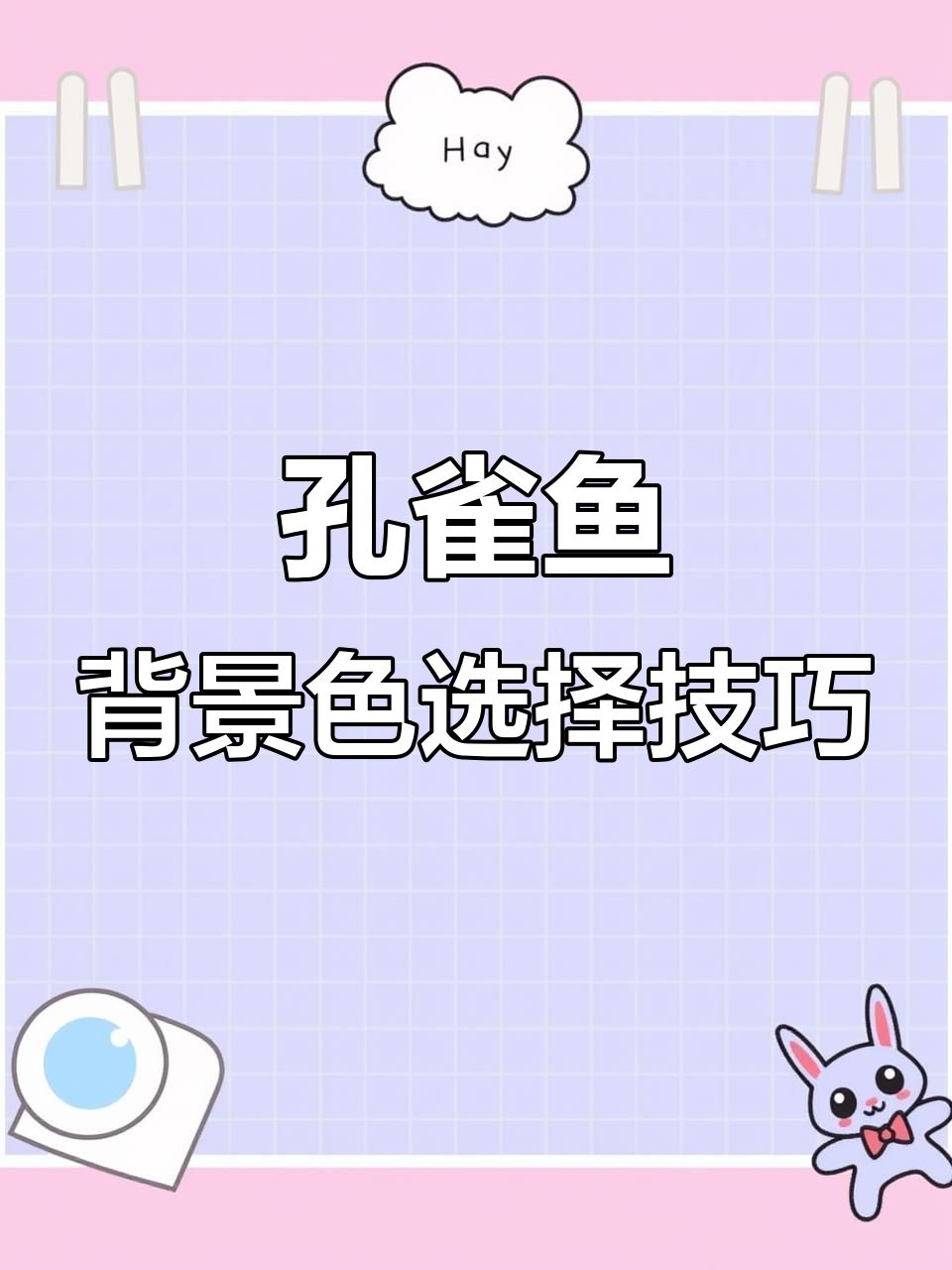 孔雀鱼背景纸选对颜色,颜值翻倍!