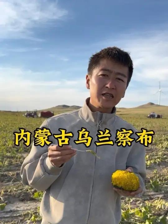 家人们贝贝南瓜收到后,一定要去整个蒸,不要切开了蒸,也不要水里去煮,蒸到四十分钟以上,然后