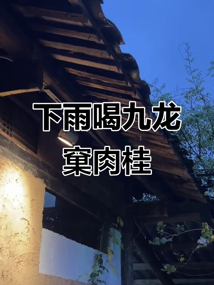 雨天最适合品鉴霸气十足的九龙窠肉桂茶