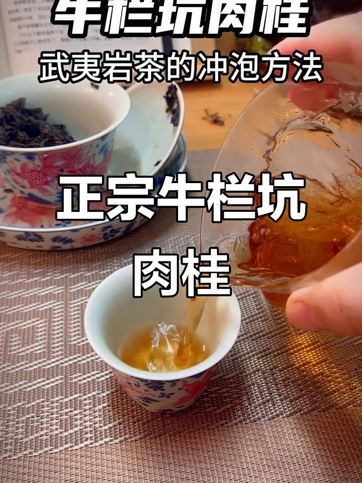 武夷山牛栏坑肉桂:岩茶的独特魅力与盐谷花香
