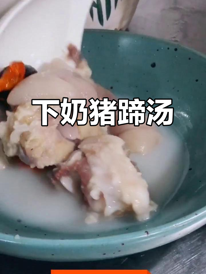 简单又美味，下奶猪蹄汤轻松做