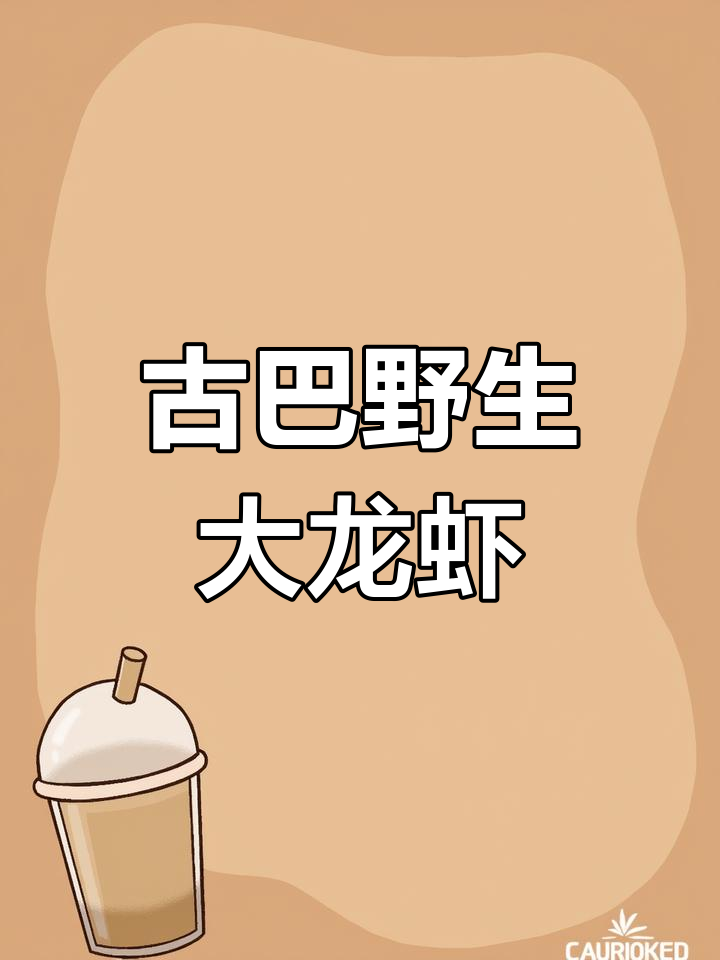 古巴龙虾:性价比高的深海美味