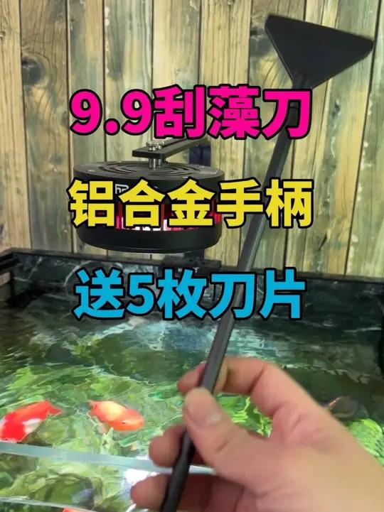 9.9的刮藻刀居然有这么高的质量,业界良心啊 #刮藻刀 #鱼缸刮藻刀 #刮藻刀鱼缸 #刮藻