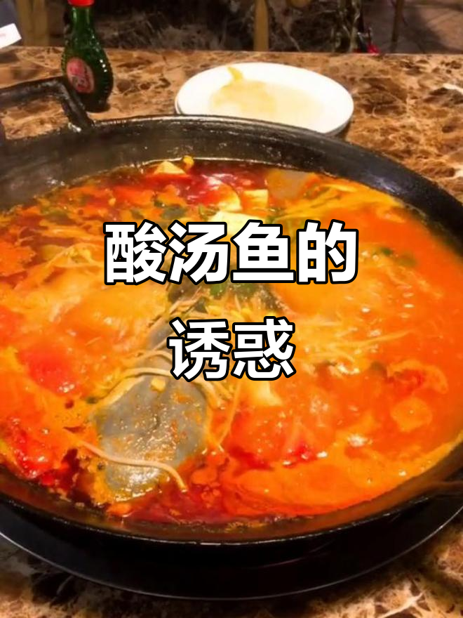 酸汤鱼火锅,鲜美嫩滑,雨天必试!