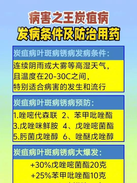 病害之王炭疽病 发病条件及防治用药