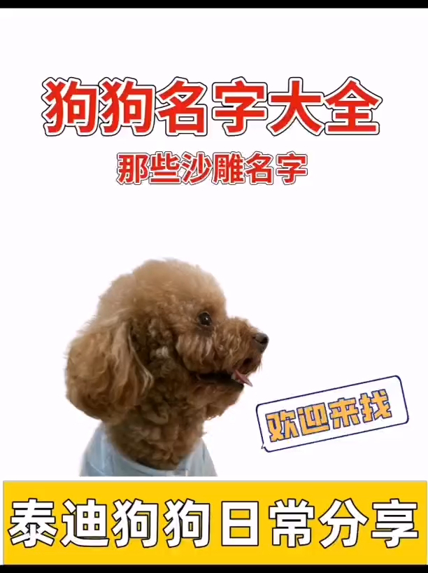 狗狗名字大全|有你家狗狗名字吗