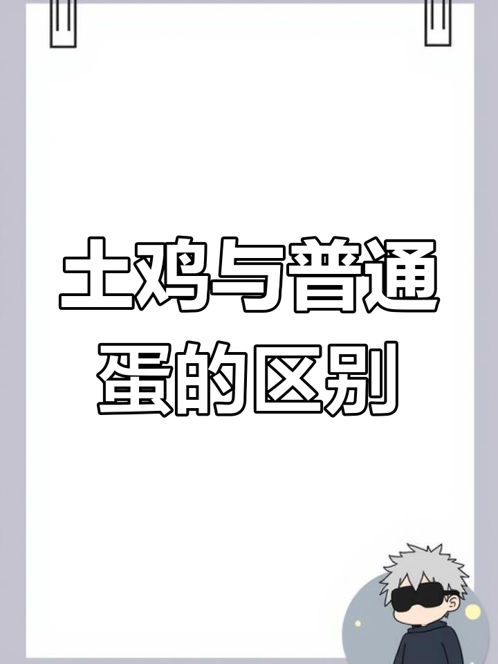 土鸡蛋和普通蛋,营养差距到底有多大?