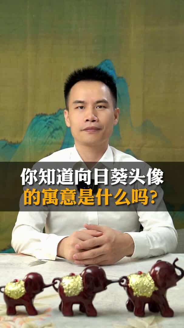 你知道向日葵头像 的寓意是什么吗?