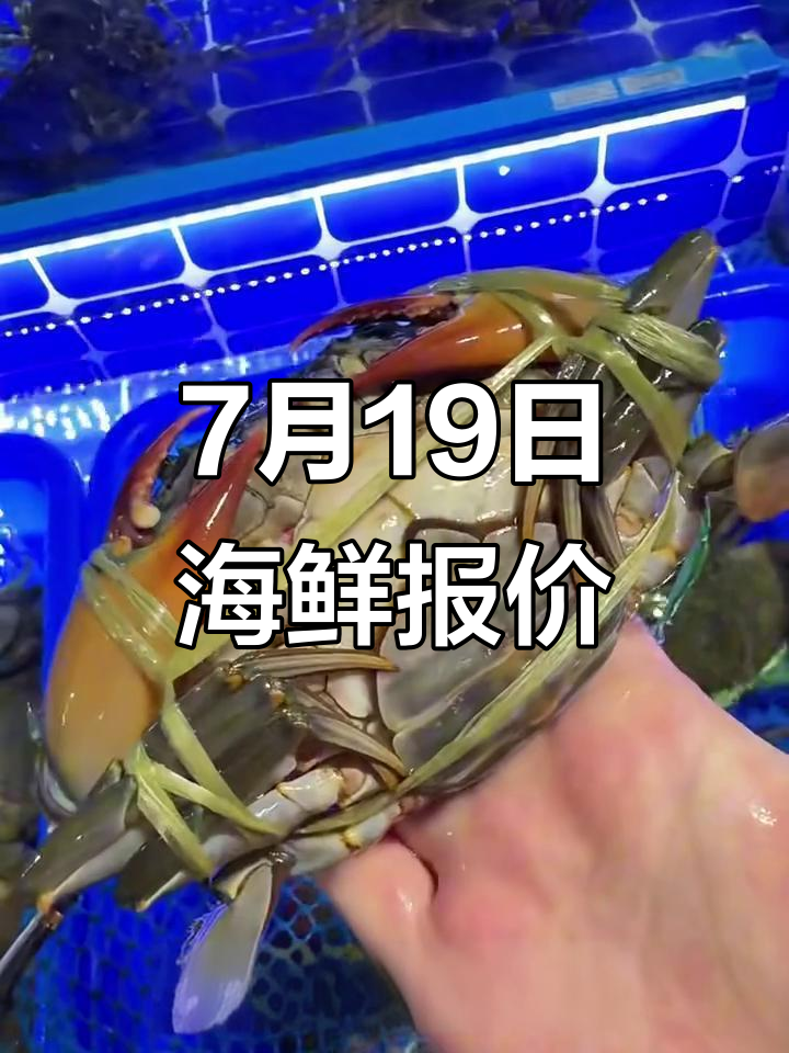 7月19日海鲜市场报价,三文鱼、大黄鱼等全品类价格一览