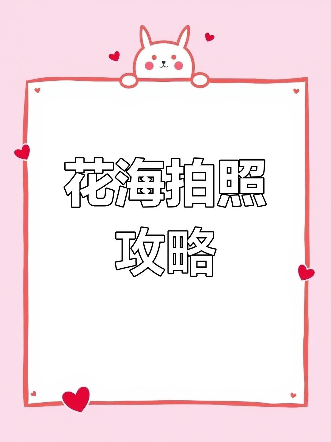 厦门鸡冠花与格桑花的拍摄秘籍,快来点赞收藏!