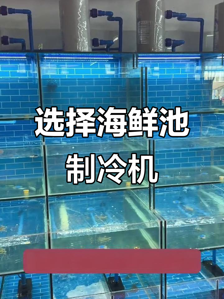 海鲜池制冷机组选择指南:空调型与一体机的区别