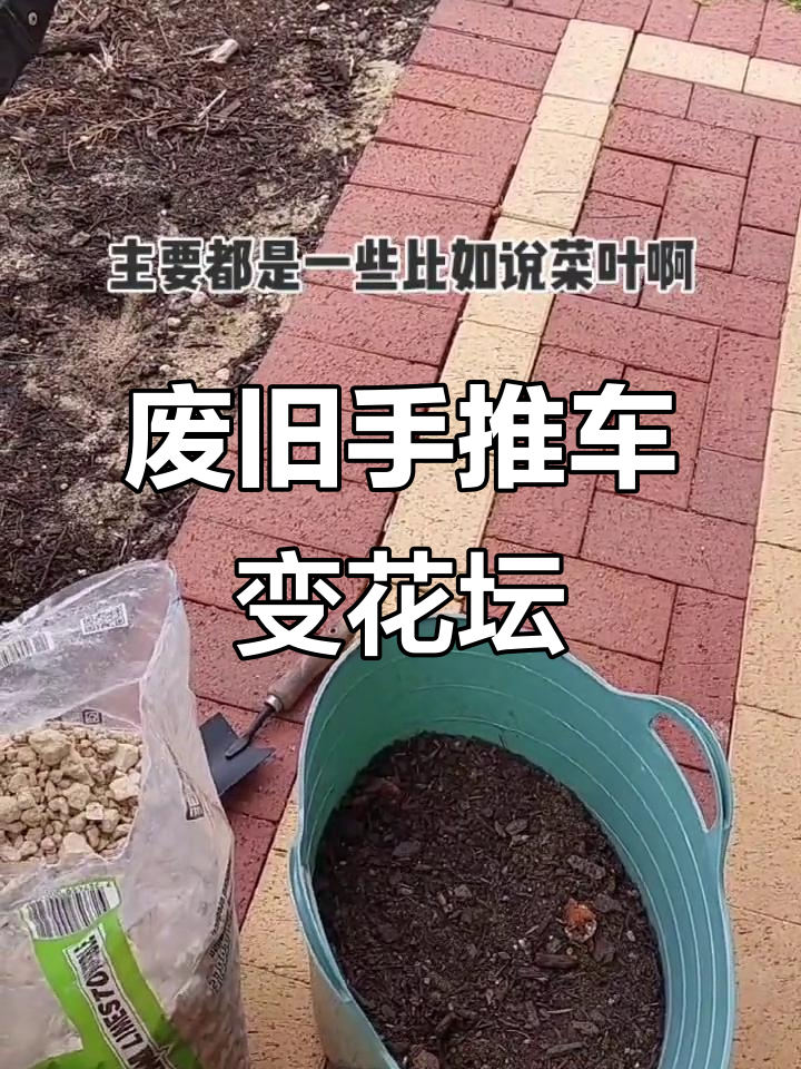 利用废旧手推车打造多肉小花坛,创意满分!