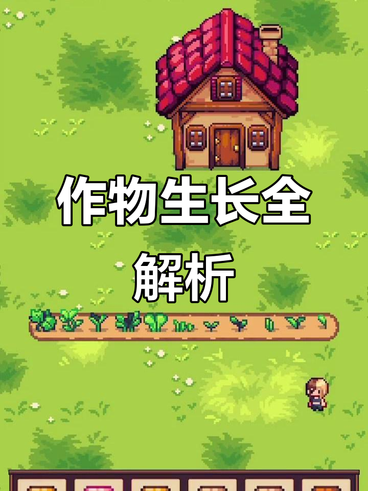 农作物生长状态大揭秘,不同阶段如何应对
