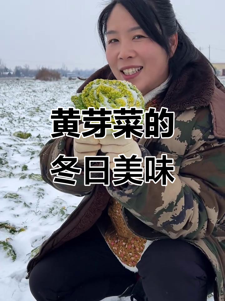 冬季必吃黄心菜,脆嫩口感让人怀念