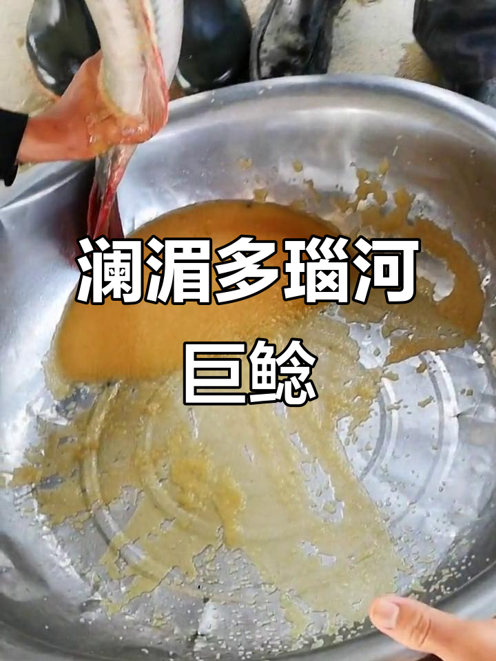 西双版纳热带水产养殖:从丝尾鱯到巨鲶,长胡子鱼创业记