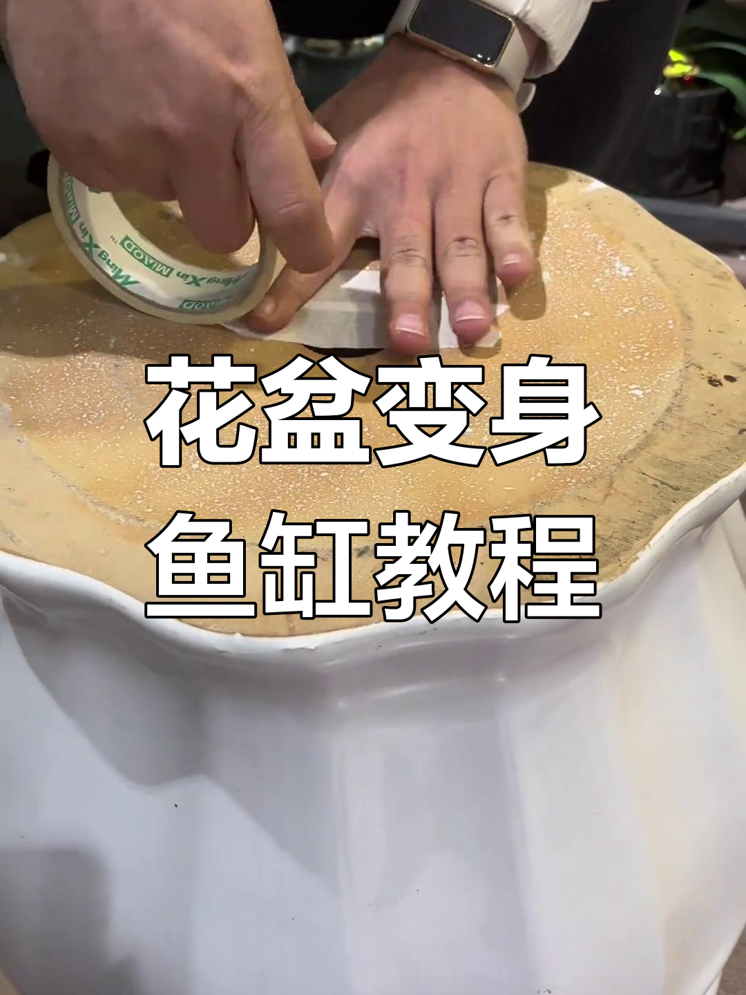 废盆变鱼缸,古法养鱼的创意制作过程