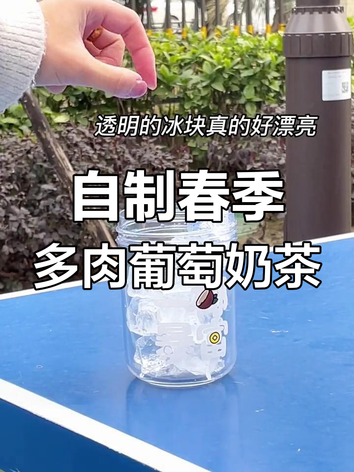 春天的第一杯多肉葡萄奶茶,轻松在家做!