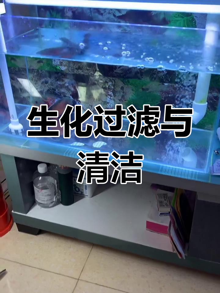 过滤盒是关键,生化处理不可缺;鱼便收集器减轻污染