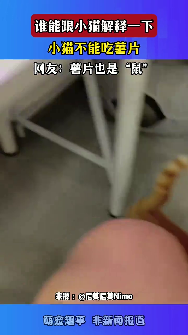 谁能跟小猫解释一下 小猫不能吃薯片