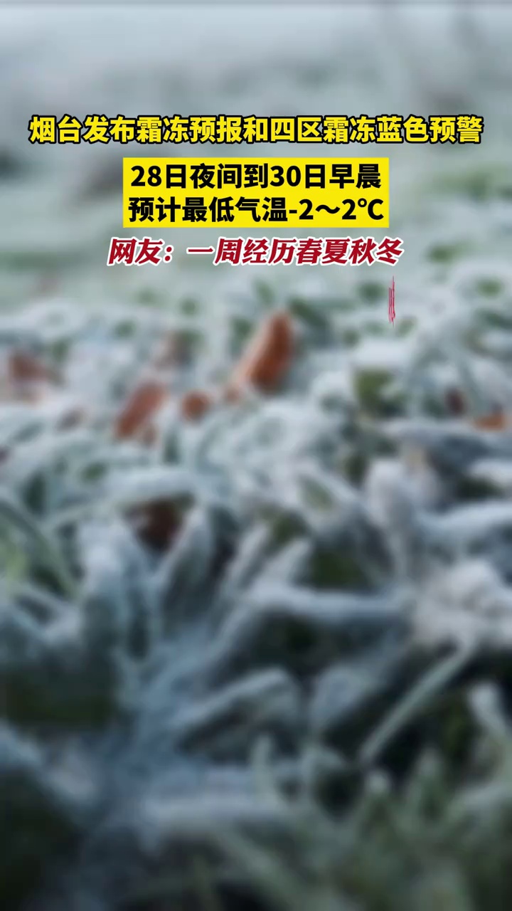 烟台发布霜冻预报和四区霜冻蓝色预警,28日夜间到30日预计最低气温-22℃,网友:一周经历