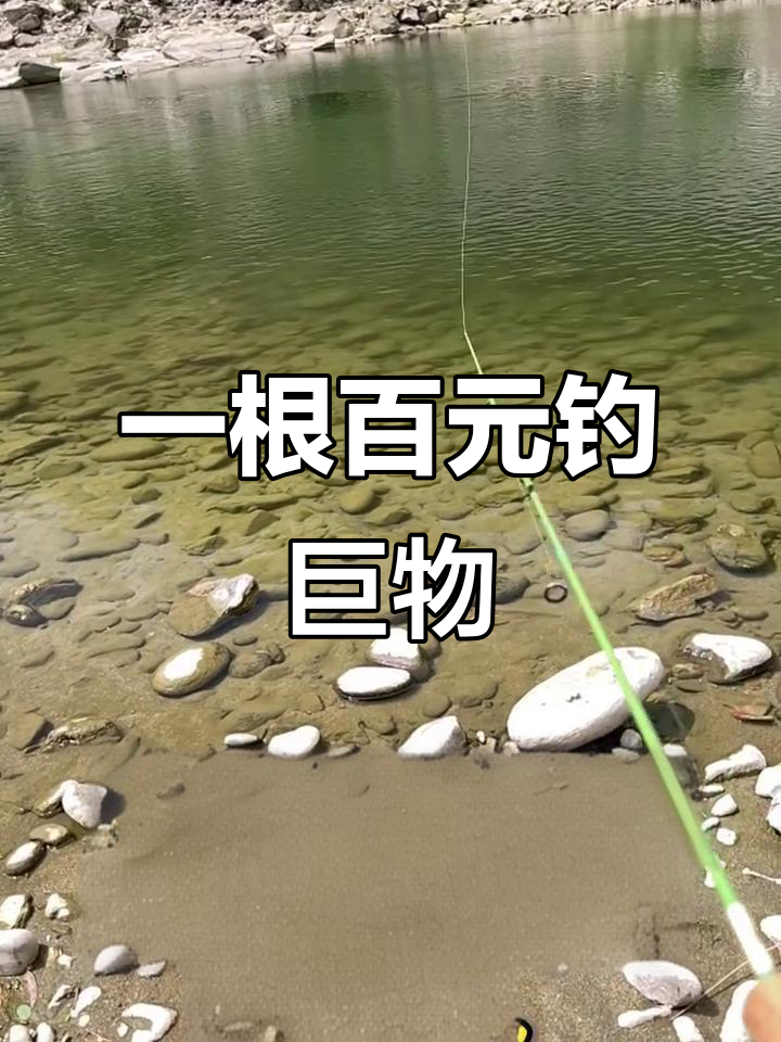 百元级鱼竿挑战极限，瞬间冲刺差点断杆