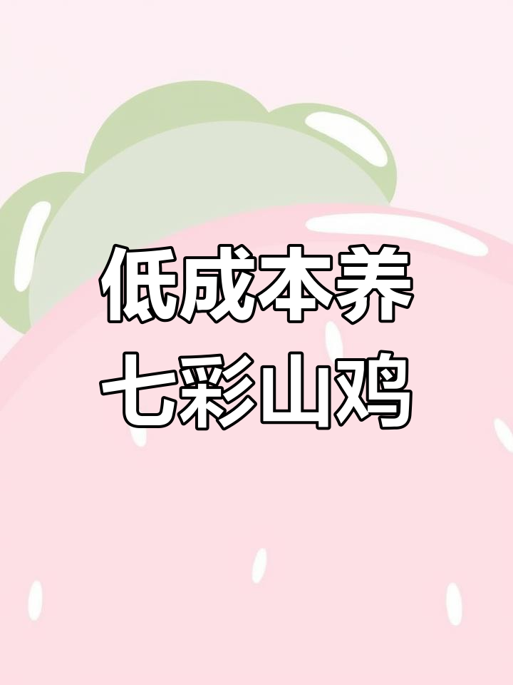 七彩山鸡养殖:低成本高回报,市场前景广阔