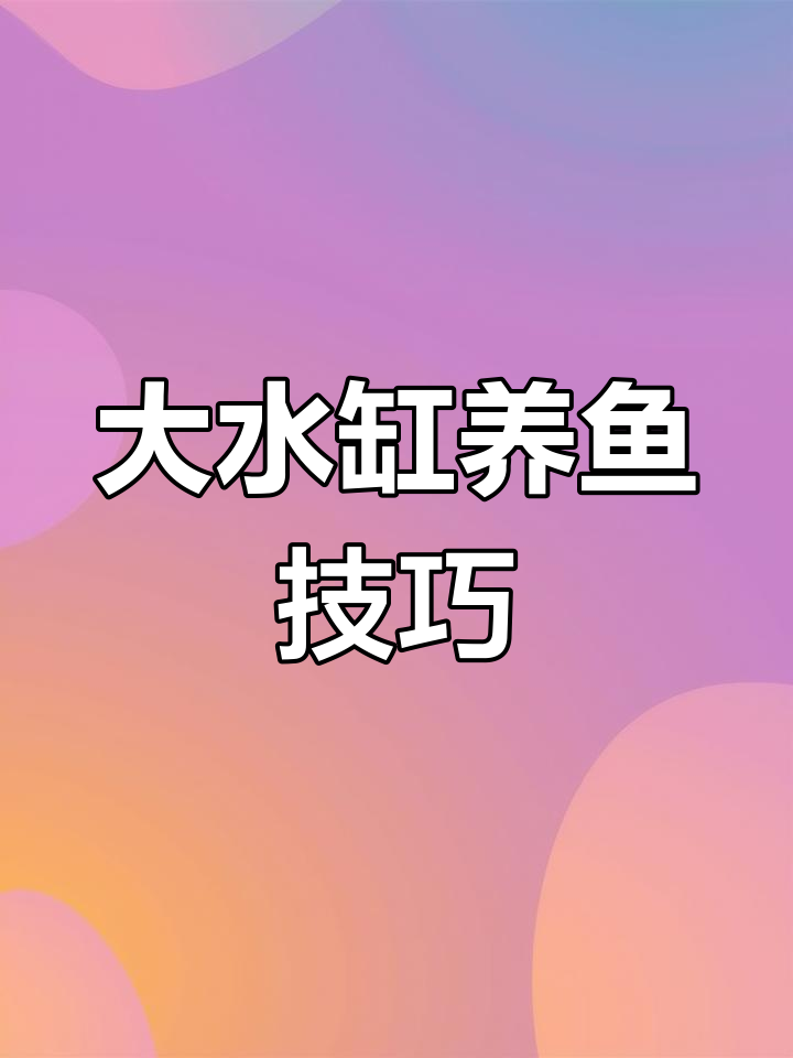 农村大水缸养锦鲤,沼泽过滤系统全解析