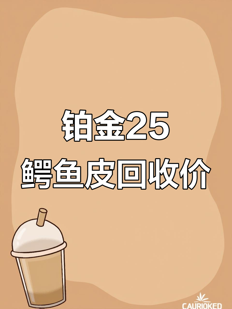 爱马仕铂金25鳄鱼皮价格大揭秘,各色回收行情全解析