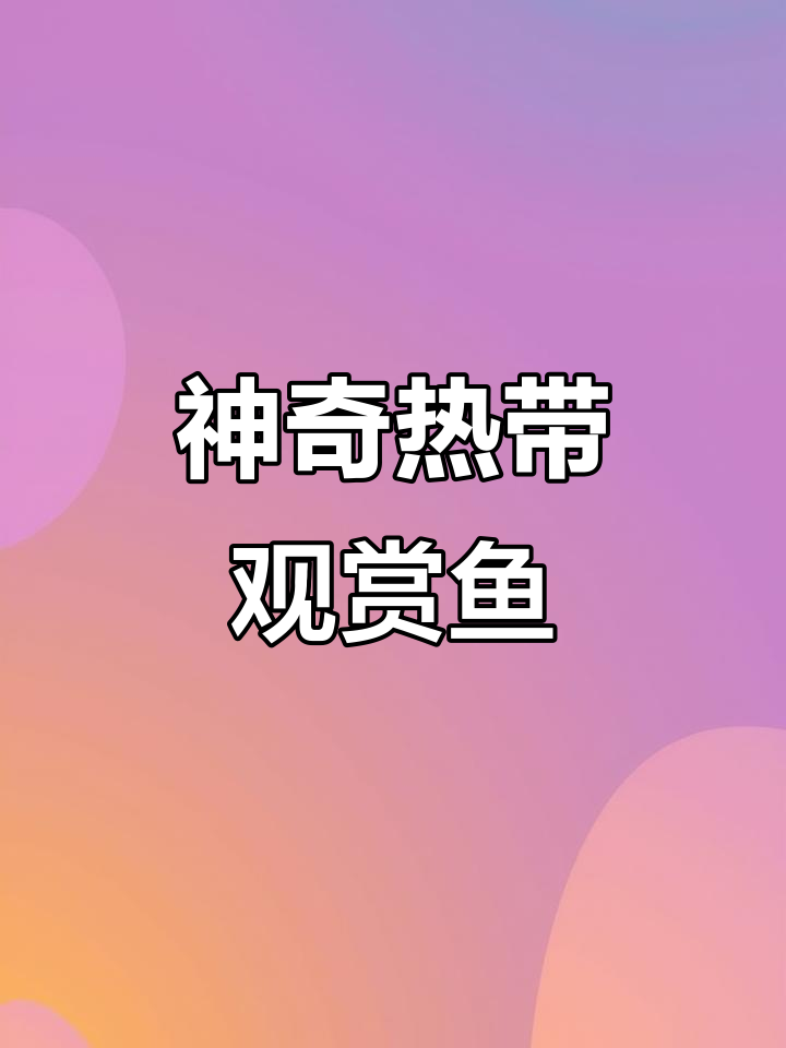 三种高颜值热带观赏鱼，最后一种你养过吗？