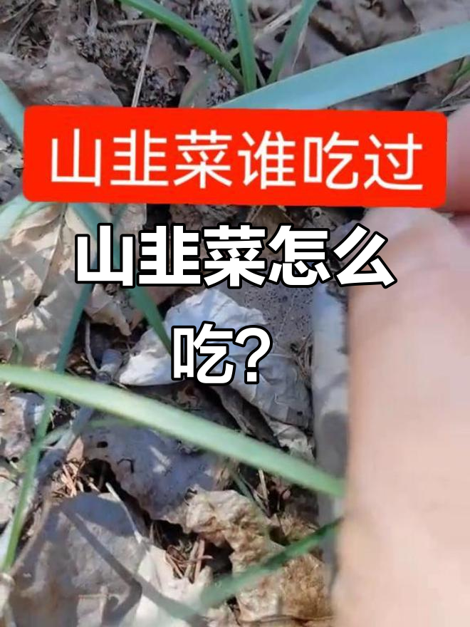 山上野生的山韭菜,吃法竟然这么独特!