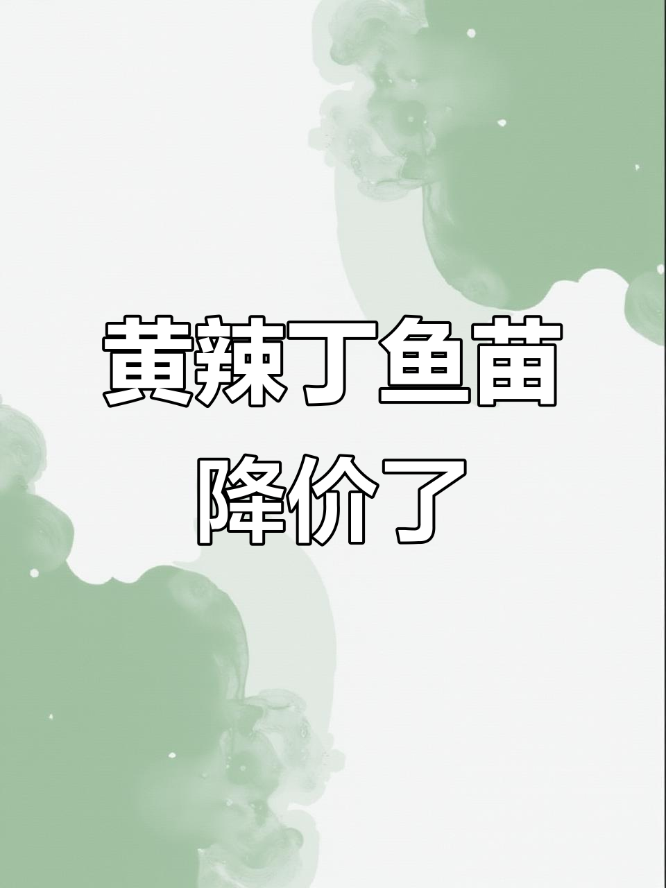 黄辣丁鱼苗价格暴跌,源头直供超值优惠