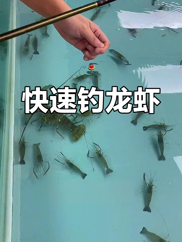钓龙虾的秘密技巧,直接钩尾巴更准