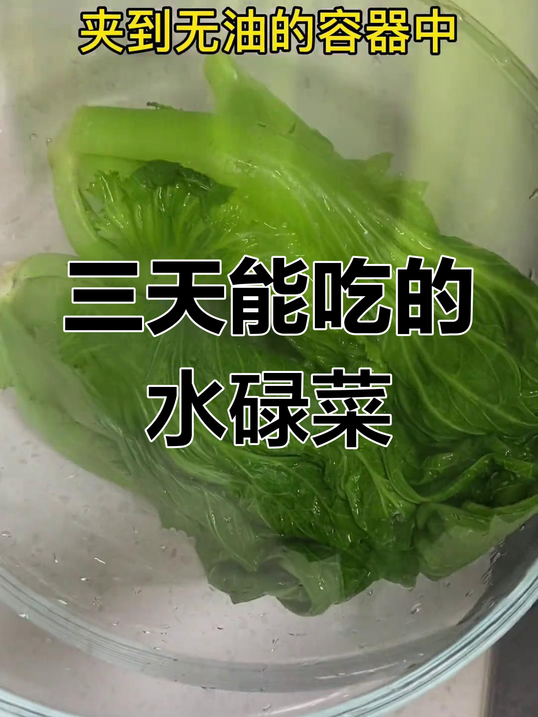 客家水碌菜,三天即可食用