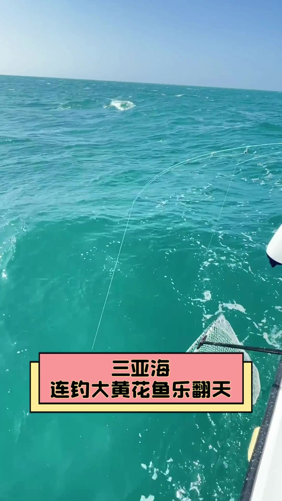 三亚海连钓大黄花鱼乐翻天