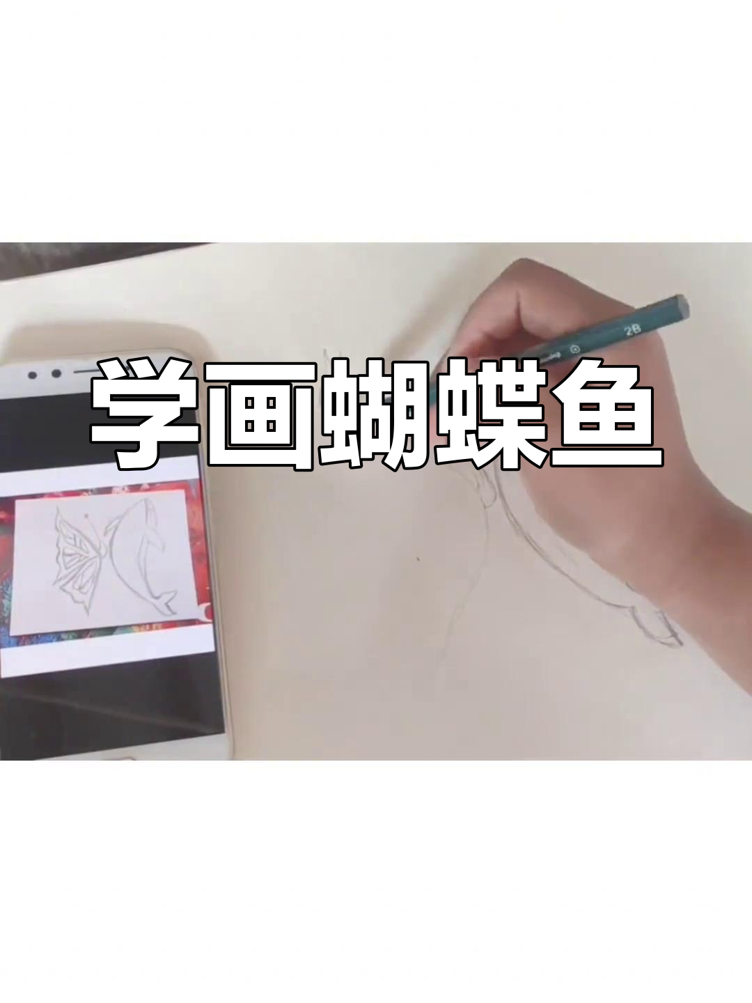 蝴蝶与鲸鱼的浪漫手绘教程