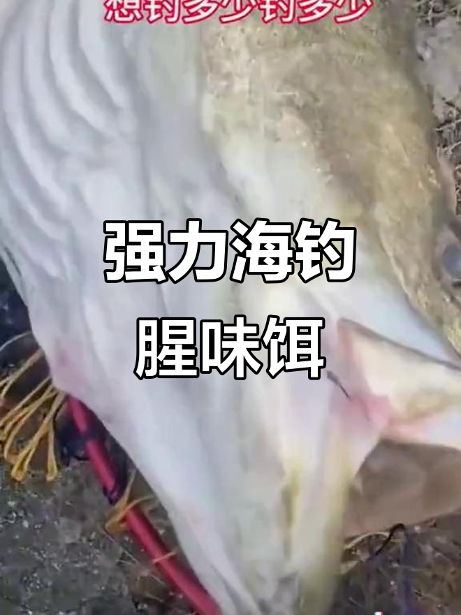 海钓腥味诱鱼剂,南极磷虾与红虫混合,新手也能轻松爆香